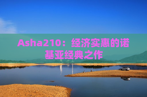 Asha210：经济实惠的诺基亚经典之作
