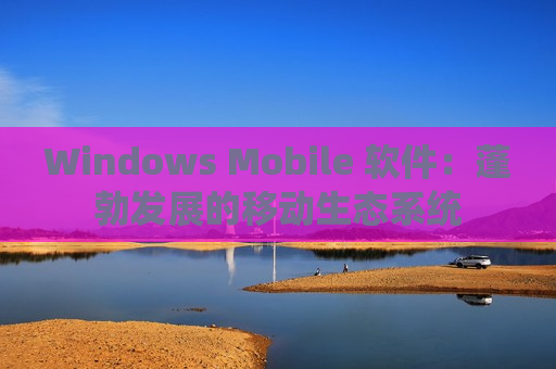 Windows Mobile 软件：蓬勃发展的移动生态系统