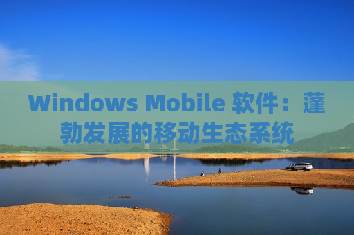 Windows Mobile 软件：蓬勃发展的移动生态系统