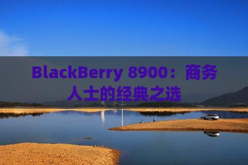 BlackBerry 8900：商务人士的经典之选