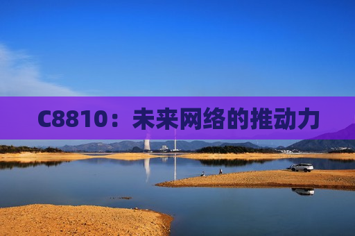 C8810：未来网络的推动力