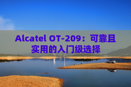 Alcatel OT-209：可靠且实用的入门级选择