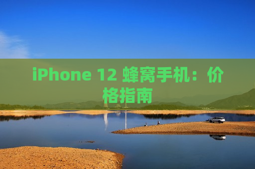 iPhone 12 蜂窝手机：价格指南