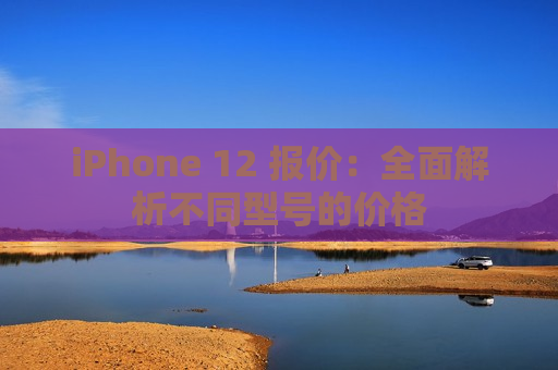 iPhone 12 报价：全面解析不同型号的价格
