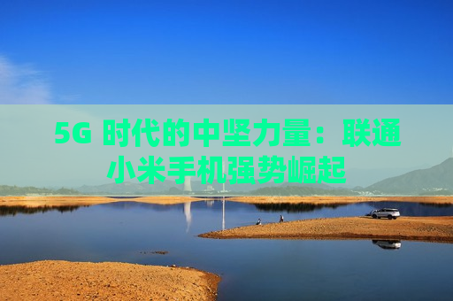 5G 时代的中坚力量：联通小米手机强势崛起