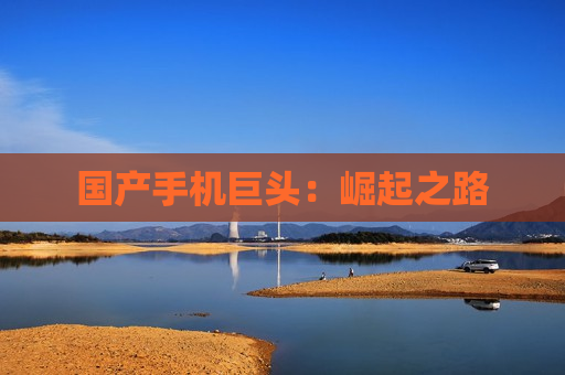 国产手机巨头：崛起之路