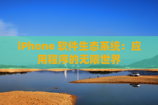 iPhone 软件生态系统：应用程序的无限世界