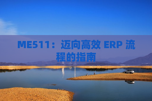 ME511：迈向高效 ERP 流程的指南