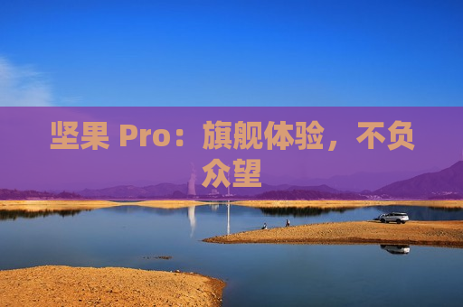 坚果 Pro：旗舰体验，不负众望