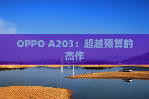 OPPO A203：超越预算的杰作