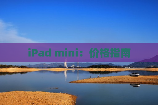 iPad mini：价格指南