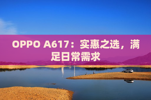OPPO A617：实惠之选，满足日常需求