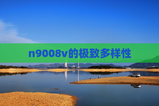 n9008v的极致多样性