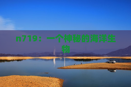 n719：一个神秘的海洋生物
