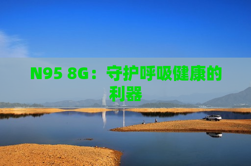 N95 8G：守护呼吸健康的利器