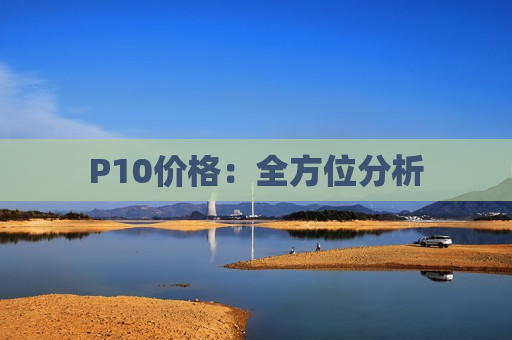 P10价格：全方位分析