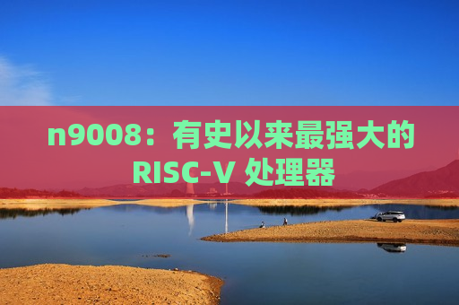 n9008：有史以来最强大的 RISC-V 处理器
