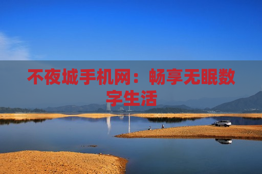 不夜城手机网：畅享无眠数字生活
