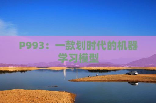 P993：一款划时代的机器学习模型