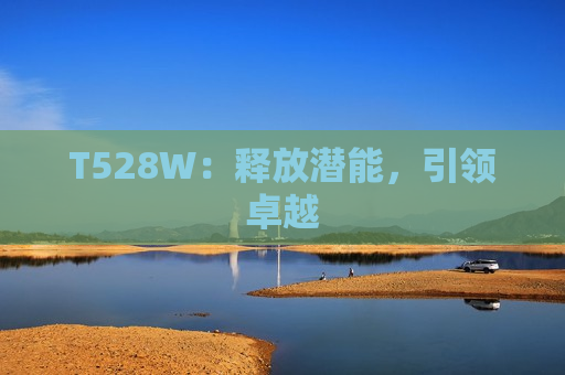 T528W：释放潜能，引领卓越