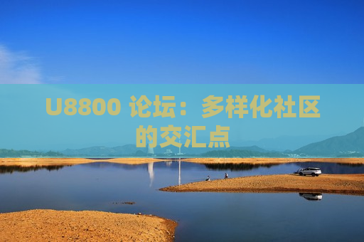 U8800 论坛：多样化社区的交汇点
