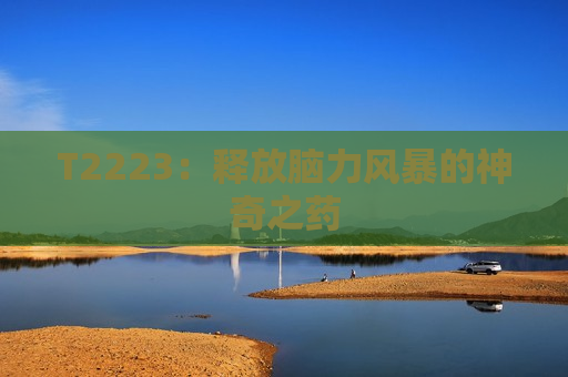 T2223：释放脑力风暴的神奇之药