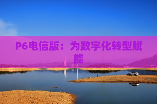 P6电信版：为数字化转型赋能