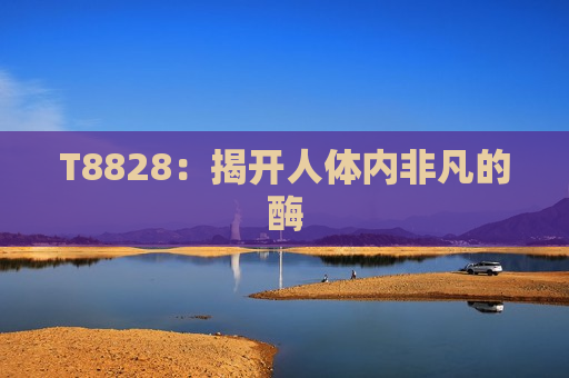 T8828：揭开人体内非凡的酶