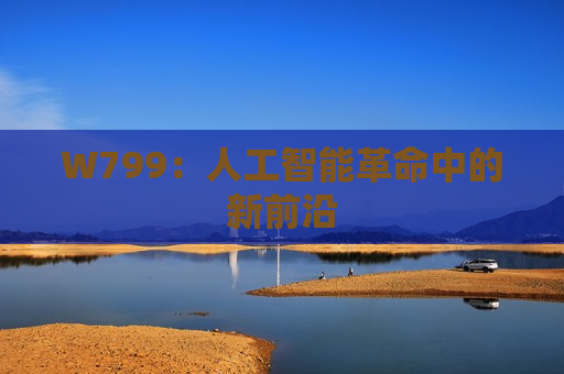 W799：人工智能革命中的新前沿