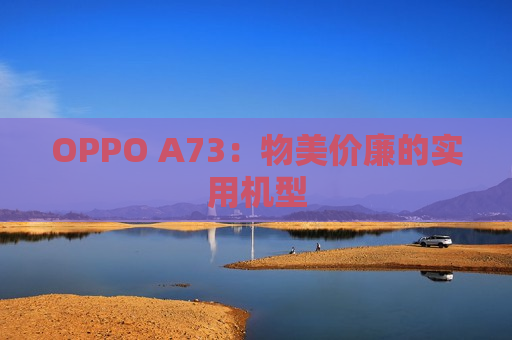 OPPO A73：物美价廉的实用机型