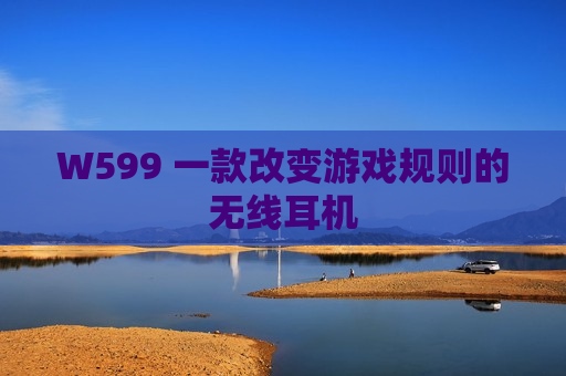 W599 一款改变游戏规则的无线耳机