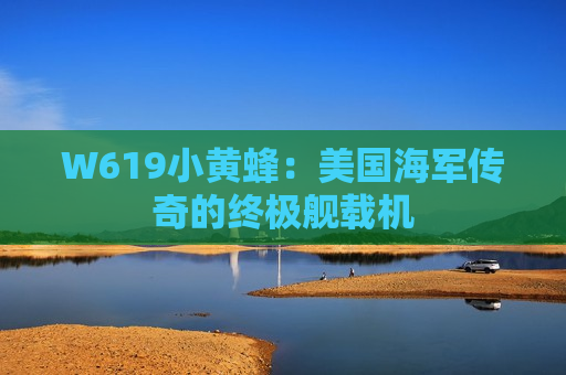 W619小黄蜂：美国海军传奇的终极舰载机