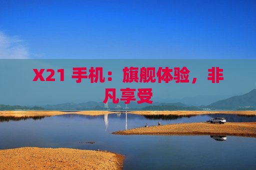 X21 手机：旗舰体验，非凡享受