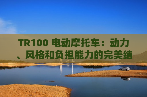 TR100 电动摩托车：动力、风格和负担能力的完美结合