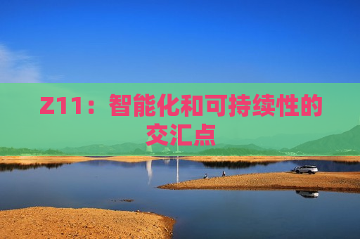Z11：智能化和可持续性的交汇点