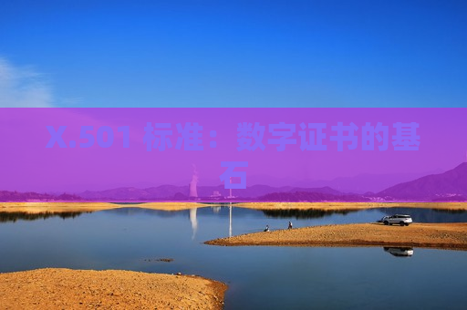 X.501 标准：数字证书的基石
