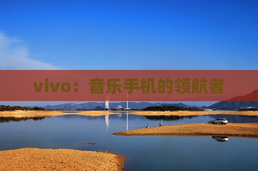 vivo：音乐手机的领航者