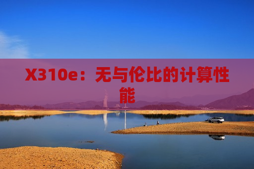 X310e：无与伦比的计算性能