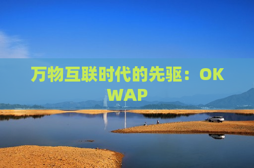 万物互联时代的先驱：OKWAP