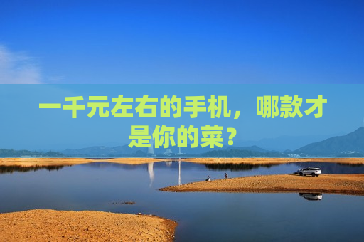 一千元左右的手机，哪款才是你的菜？