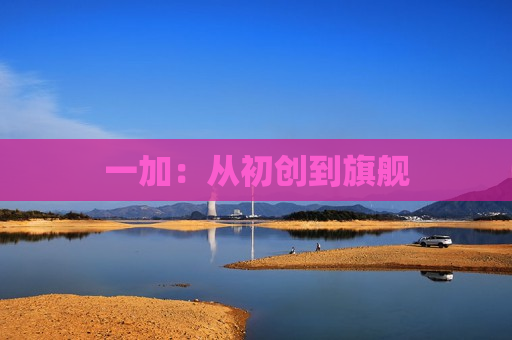 一加：从初创到旗舰