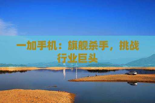 一加手机：旗舰杀手，挑战行业巨头