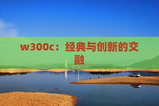 w300c：经典与创新的交融
