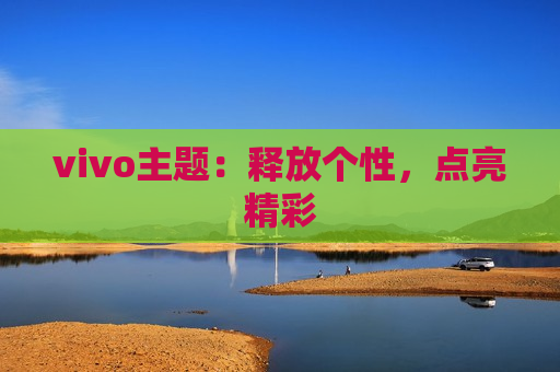 vivo主题：释放个性，点亮精彩