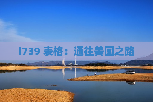 i739 表格：通往美国之路