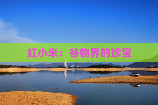 红小米：谷物界的珍宝
