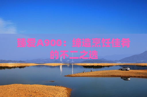 臻爱A900：缔造烹饪佳肴的不二之选